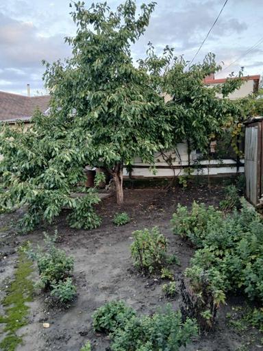 Будинок за адресою (площа 32 м²) - Atlanta.ua - фото 42