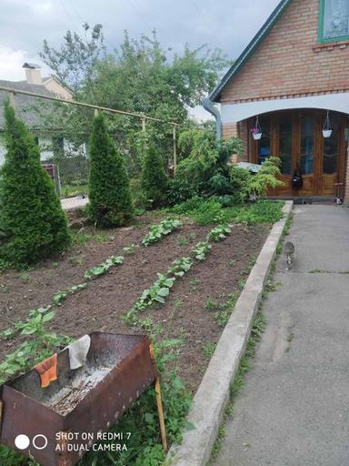 Дом по адресу ул. Магистратская (площадь 100 м²) - Atlanta.ua - фото 12