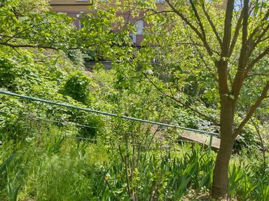 House by the address (area 200 m²) - Atlanta.ua - photo 8