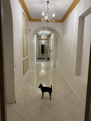 Будинок за адресою (площа 450 м²) - Atlanta.ua - фото 25