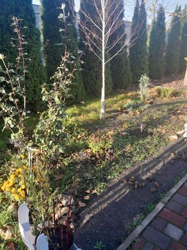 Дом по адресу (площадь 60 м²) - Atlanta.ua - фото 41