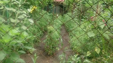 Будинок за адресою вул. Танкістів (площа 56 м²) - Atlanta.ua - фото 33