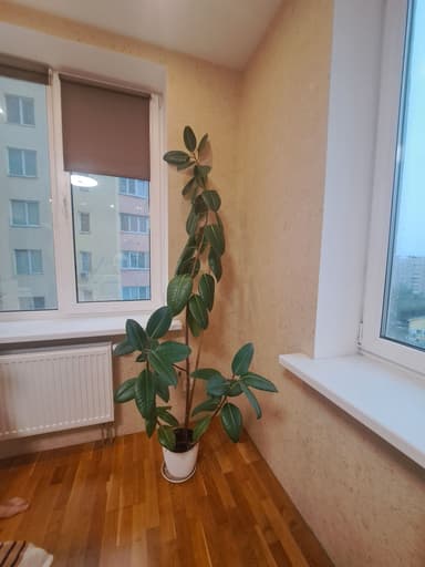 2-комнатная квартира по адресу ул. Олевская (площадь 54 м²) - Atlanta.ua - imageAlt 45