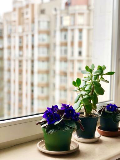 4+-rooms apartment apartment by the address st. Dovzhenko (area 190 m²) - Atlanta.ua - photo 9