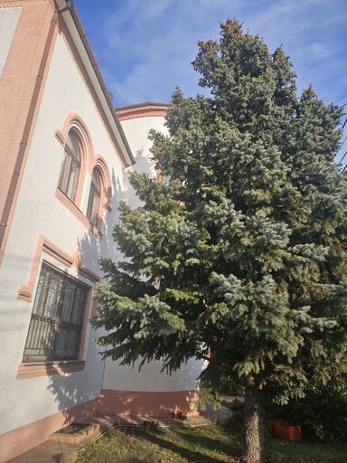 Дом по адресу (площадь 480 м²) - Atlanta.ua - фото 26