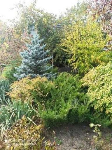 Дом по адресу ул. Соборная (площадь 244 м²) - Atlanta.ua - фото 38