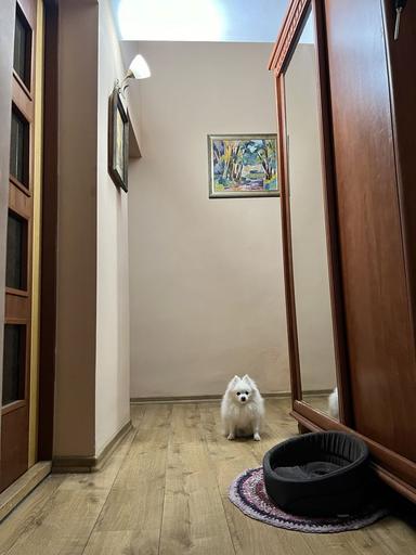 3-кімнатна квартира за адресою вул. Моршинська (площа 62,7 м²) - Atlanta.ua - фото 19