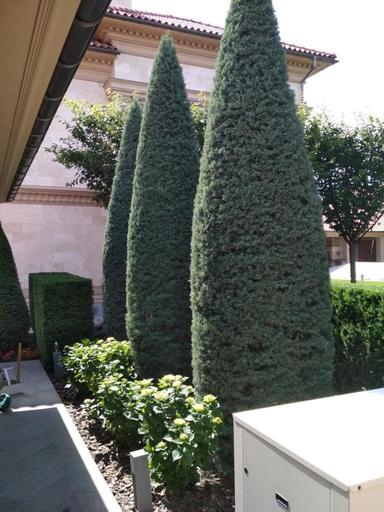 Дом по адресу ул. Спортивная (площадь 550 м²) - Atlanta.ua - фото 44