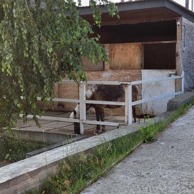 Дом по адресу ул. Капеланська (площадь 1,8 м²) - Atlanta.ua - фото 28