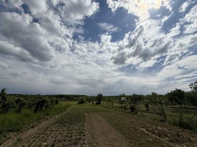 Дом по адресу Петефі Шандора пл. (площадь 174,8 м²) - Atlanta.ua - фото 28