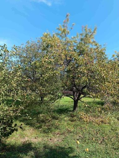 House by the address (area 298 m²) - Atlanta.ua - photo 27