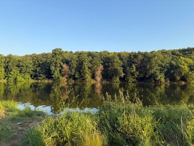 Дом по адресу ул. Магистратская (площадь 50 м²) - Atlanta.ua - фото 21
