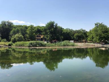 1-room apartment apartment by the address st. Kulikovo pole pl Oktyabrskoy revolyutsii pl (area 28 m²) - Atlanta.ua - photo 7