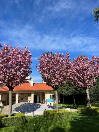 Дом по адресу ул. Спортивная (площадь 550 м²) - Atlanta.ua - фото 38