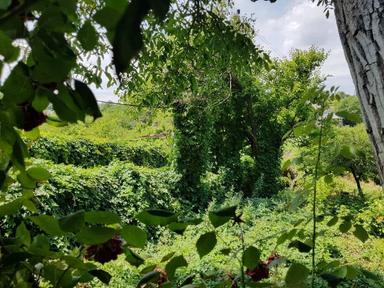 Дом по адресу ул. Спортивная (площадь 56 м²) - Atlanta.ua - фото 16