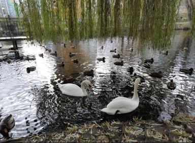 3-кімнатна квартира за адресою вул. Вишгородська (площа 94 м²) - Atlanta.ua - фото 30