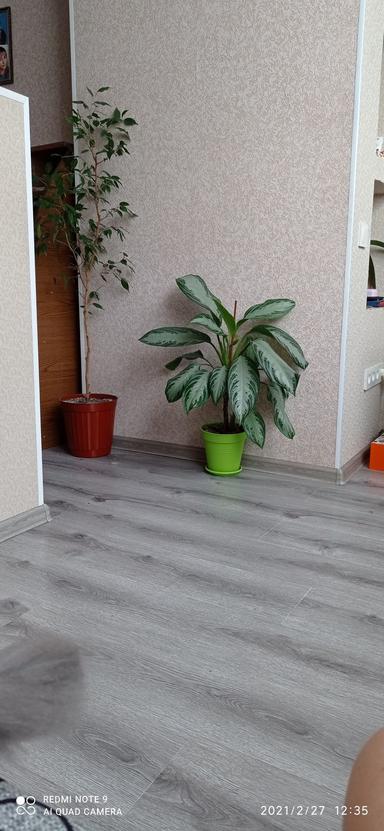 1-кімнатна квартира за адресою вул. Приморська (площа 32 м²) - Atlanta.ua - фото 12