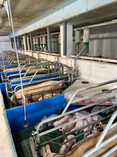 Комерційна нерухомість за адресою вул. Магістратська (площа 4120 м²) - Atlanta.ua - фото 18