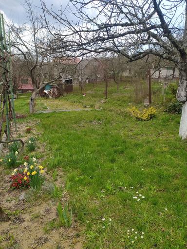 Дом по адресу Петефі Шандора пл. (площадь 50 м²) - Atlanta.ua - фото 11