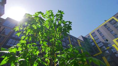 1-room apartment apartment by the address st. Zaliznichna (area 54 m²) - Atlanta.ua - photo 16