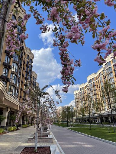 1-кімнатна квартира за адресою (площа 40 м²) - Atlanta.ua - фото 22