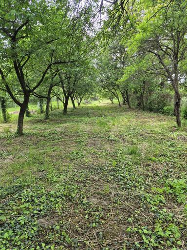 Дом по адресу Петефі Шандора пл. (площадь 61 м²) - Atlanta.ua - фото 24