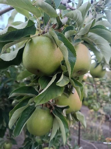 House by the address (area 80 m²) - Atlanta.ua - photo 21