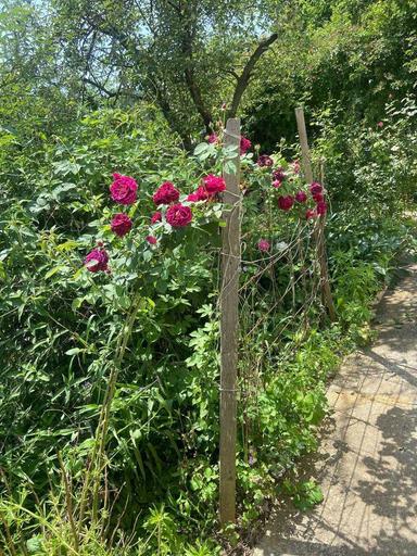 Дом по адресу ул. Магистратская (площадь 55 м²) - Atlanta.ua - фото 24