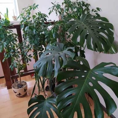 Дом по адресу ул. 21 км. Старокиевской дороги (площадь 120 м²) - Atlanta.ua - фото 17