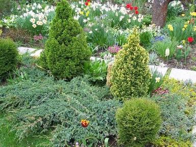 Дом по адресу (площадь 35 м²) - Atlanta.ua - фото 32