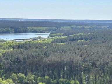 1-комнатная квартира по адресу (площадь 33,5 м²) - Atlanta.ua - фото 8