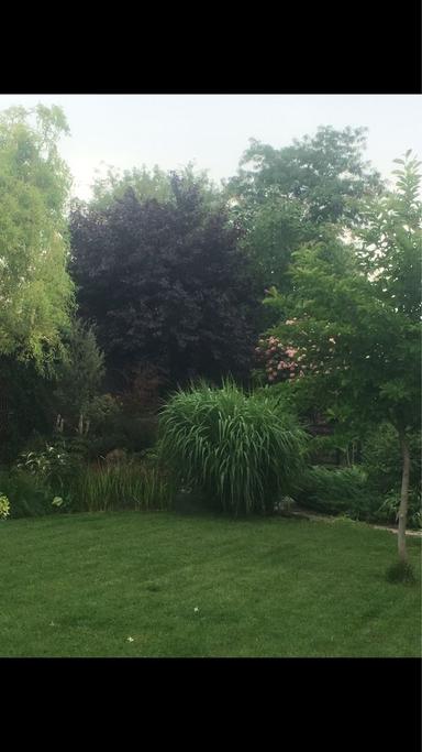 Будинок за адресою вул. Мічуріна (площа 190 м²) - Atlanta.ua - фото 39