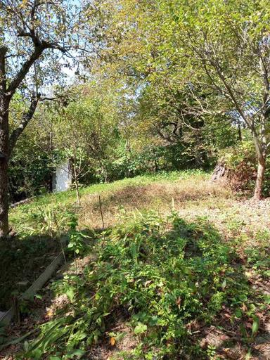 Дом по адресу ул. Капеланська (площадь 4 м²) - Atlanta.ua - фото 33