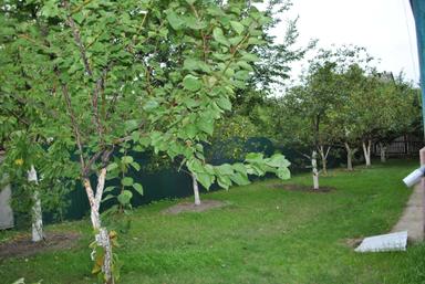 Будинок за адресою (площа 280 м²) - Atlanta.ua - фото 14