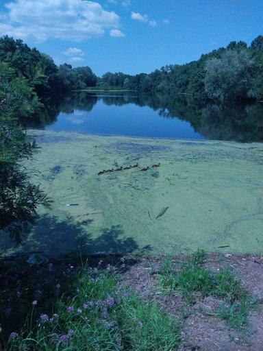 House by the address st. Lesnichaya (area 280 m²) - Atlanta.ua - photo 16