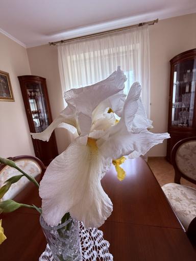 Дом по адресу Петефі Шандора пл. (площадь 336,9 м²) - Atlanta.ua - фото 22