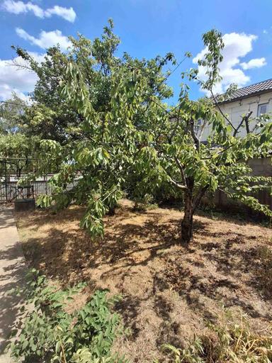 House by the address (area 144 m²) - Atlanta.ua - photo 44