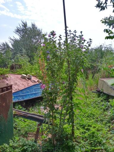 House by the address (area 20 m²) - Atlanta.ua - photo 10