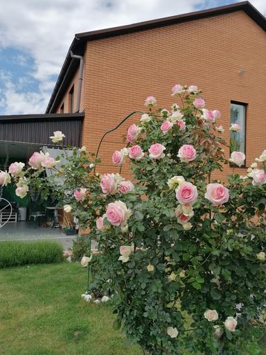 Дом по адресу ул. Магистратская (площадь 130 м²) - Atlanta.ua - фото 41