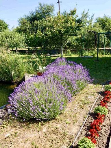 Дом по адресу Петефі Шандора пл. (площадь 336,9 м²) - Atlanta.ua - фото 42