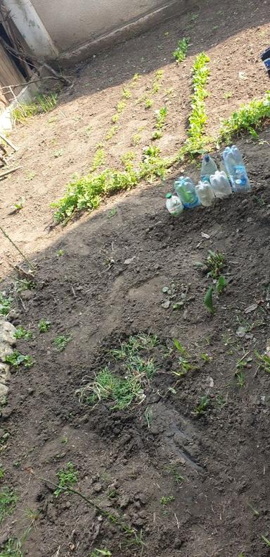 Дом по адресу (площадь 498 м²) - Atlanta.ua - фото 28