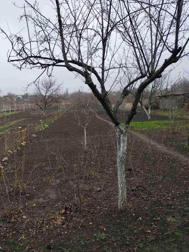 Дом по адресу (площадь 150 м²) - Atlanta.ua - фото 41