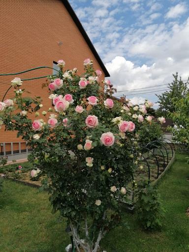 Дом по адресу ул. Магистратская (площадь 130 м²) - Atlanta.ua - фото 42