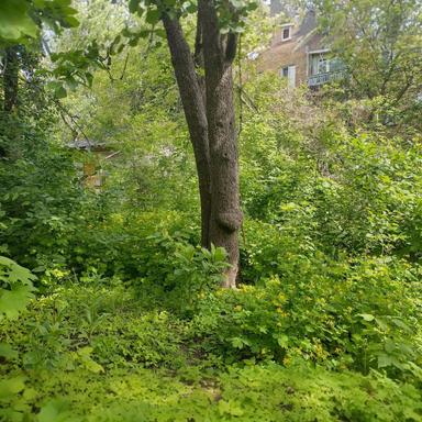 House by the address (area 90 m²) - Atlanta.ua - photo 8