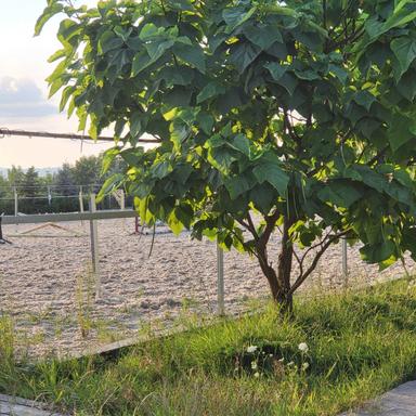 Дом по адресу ул. Капеланська (площадь 1,8 м²) - Atlanta.ua - фото 21