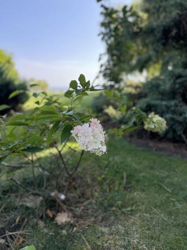 Дом по адресу ул. Михайловская (площадь 650 м²) - Atlanta.ua - фото 17