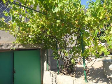 House by the address st. Shkolnaya (area 135 m²) - Atlanta.ua - photo 19