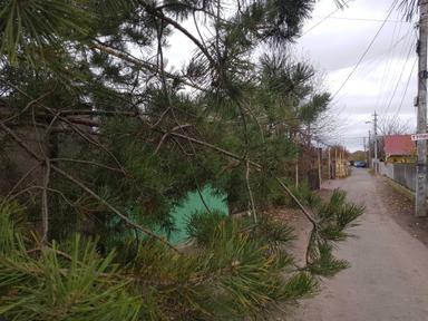 Будинок за адресою (площа 120 м²) - Atlanta.ua - фото 27