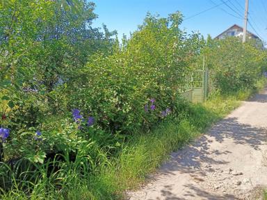 Будинок за адресою (площа 16 м²) - Atlanta.ua - фото 28
