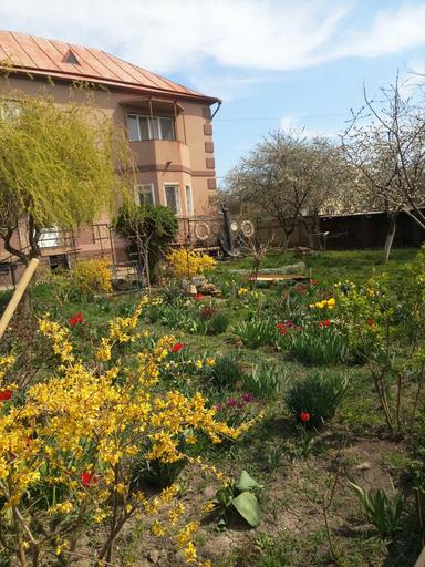 Дом по адресу ул. Приморская (площадь 278 м²) - Atlanta.ua - фото 23